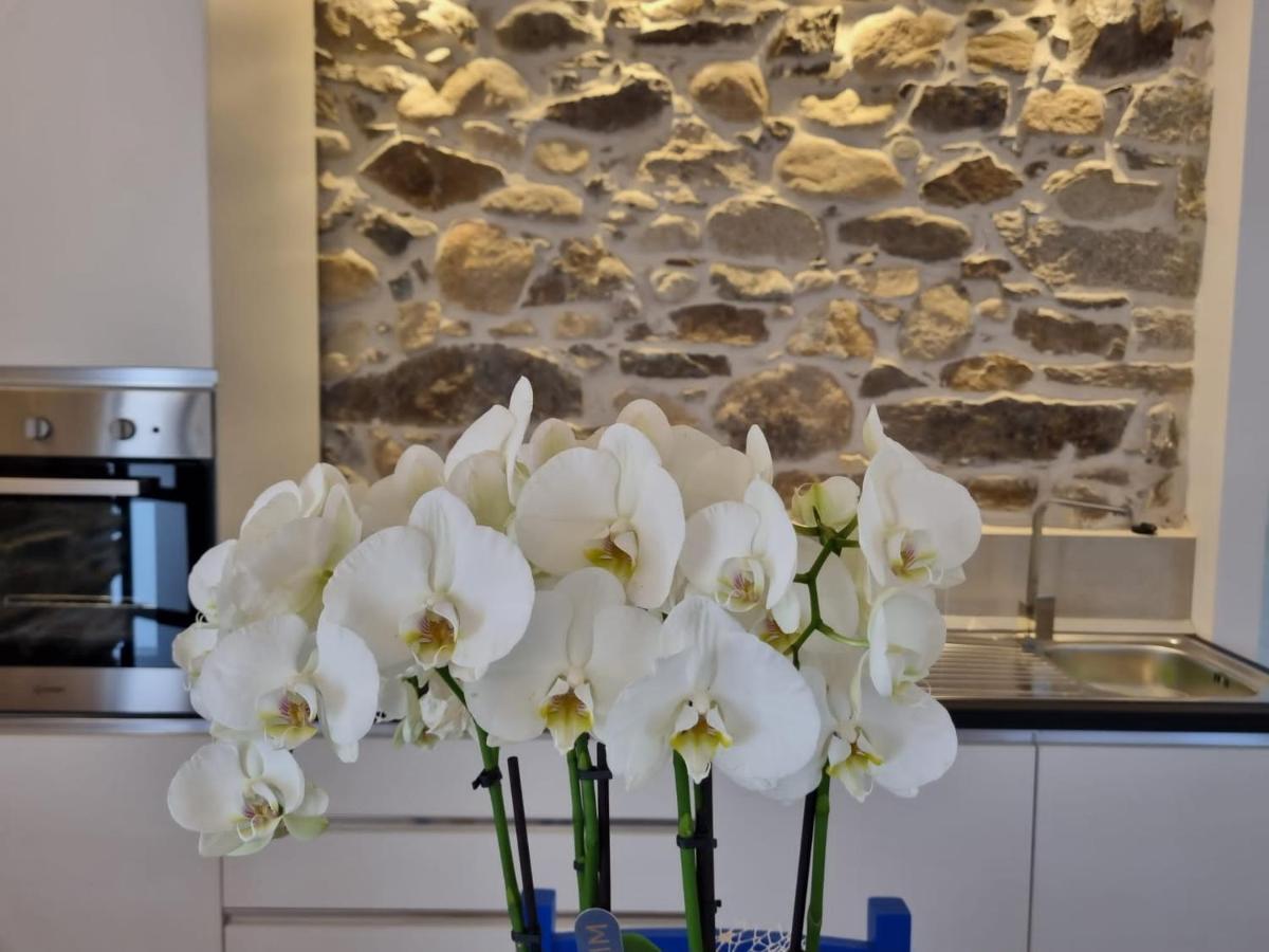 Apartament Stazzo San Teodoro La Quercia Piscina Condivisa Zewnętrze zdjęcie
